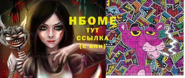 твердый Инсар