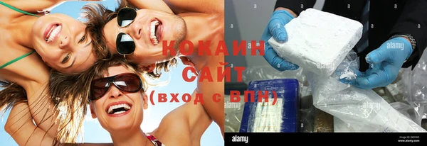 твердый Инсар