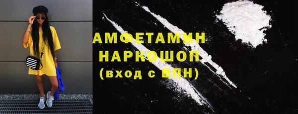 твердый Инсар