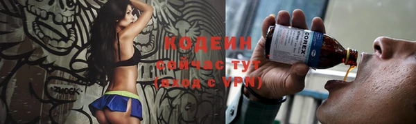 твердый Инсар