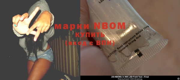 твердый Инсар