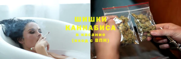 твердый Инсар