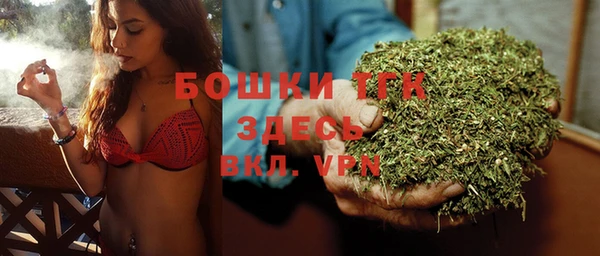 твердый Инсар
