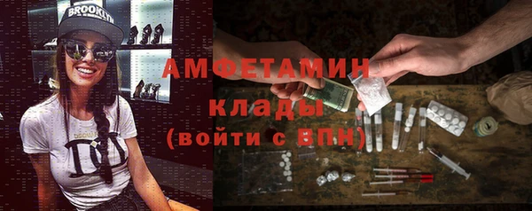 твердый Инсар