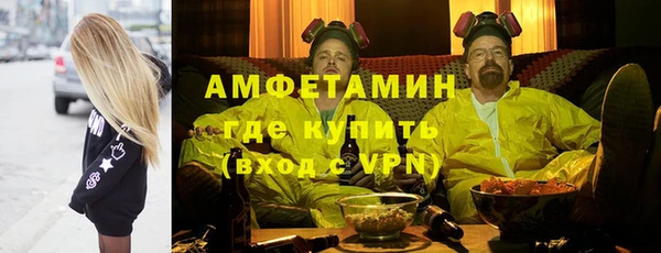 твердый Инсар