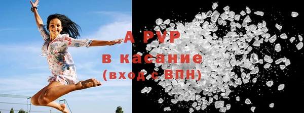 твердый Инсар